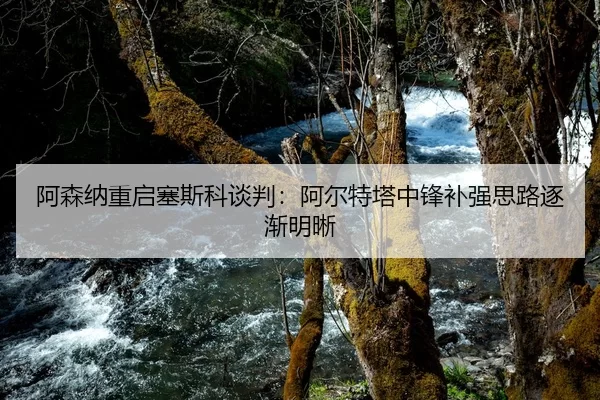 阿森纳重启塞斯科谈判：阿尔特塔中锋补强思路逐渐明晰