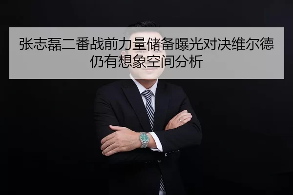 张志磊二番战前力量储备曝光对决维尔德仍有想象空间分析