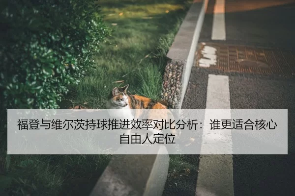 福登与维尔茨持球推进效率对比分析：谁更适合核心自由人定位 - ayx