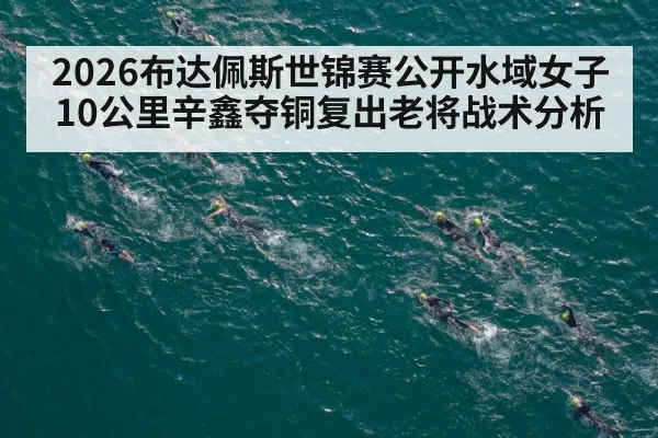 open water swimming race | ayx
